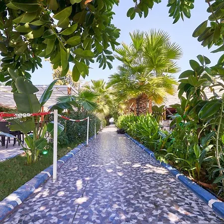 Maya World 3* Okurcalar